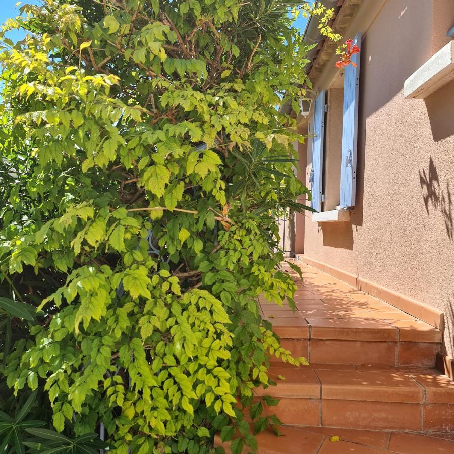 شقة Hameau Des Amandiers - Vue Mer, Golf Et Vignes سا سيرْ سور مير المظهر الخارجي الصورة
